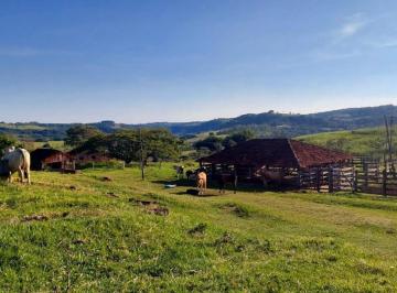 Foto 01 · *excelente Fazenda a Venda Na Região de Marília - Sp*? Fazenda Montada E Estruturada Na Pecuária B