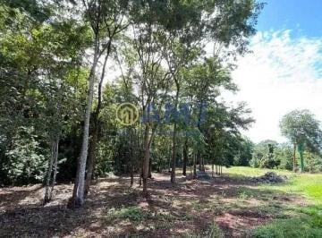 al7cttwppdz1772585003308.jpg · Imoveis - Em Hidrolândia