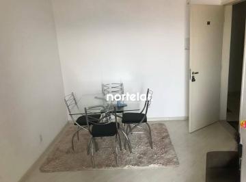 398eed584f650bfd32ebe9e02b6edd16.jpg · Apartamento Com 2 Dormitórios À Venda, 49 m² por R$385.000 - Pirituba - São Paulo/sp
