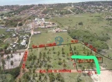 Terreno · 1337m² · Terreno Wm São Miguel Do Gostoso / Terreno Paradisiaco Em Sao Miguel Do Gostoso / Terreno Vista Mar