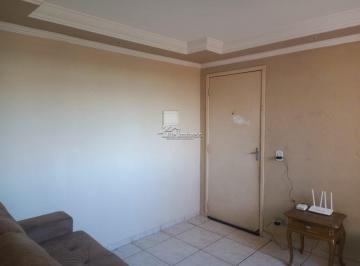 34752732_i5Z66_347527326a05c60937698.jpg · Imoveis - No Jardim Nova Hortolândia I