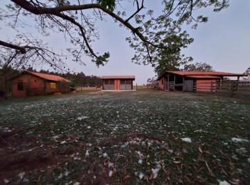Foto 0 · Imoveis - Em Nova Suiça