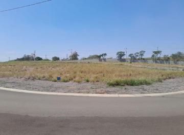 Foto 0 · Imoveis - Em Campestre