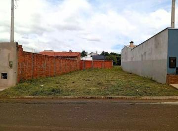 Foto 0 · Imoveis - No Parque São Matheus