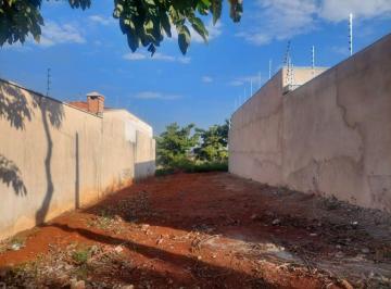 Foto 0 · Imoveis - Em Residencial Bertolucci