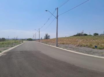 Foto 0 · Imoveis - Em Campestre