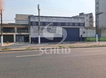 Comercial · 514m² · Galpão Com 514 m² Av Washington Luís - Santo Amaro