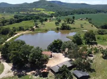 Rural · 1452ha · 3 Quartos · 6 Vagas · Fazenda À Venda Em Vila Propício/go Com 1.452 Hectares
