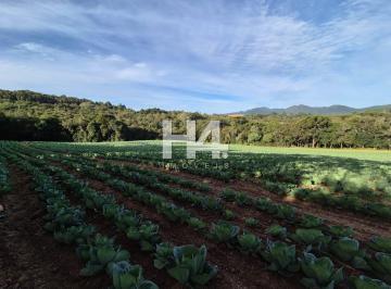 Rural · 35198m² · H4 Imóveis Vende Área Com 35.198 Met