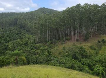 Foto 01 · Fazenda de Eucaliptos 241,88 Alqueires Ou 585,36 Hectares Aproveitamento: 145,90 Alqueires Ou 353