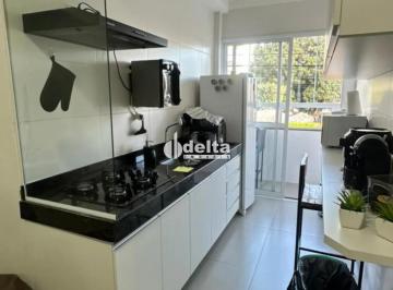 Apartamento · 60m² · 2 Quartos · 1 Vaga · Apartamento Com 2 Quartos Disponível Para Venda No Bairro Segismundo Pereira Em Uberlândia - Mg