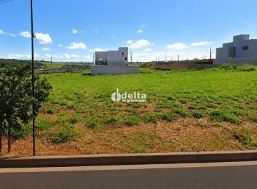 Terreno · 250m² · Terreno Disponível Para Venda No Bairro Loteamento Portal Do Vale II Em Uberlândia - Mg