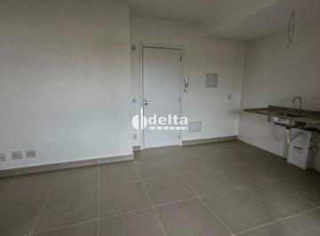 Apartamento · 42m² · 1 Quarto · 1 Vaga · Studio Disponível Para Venda No Bairro Em Uberlândia - Mg