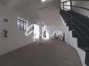 106807_i94539p27sgRw7r5Za_106807681a55fb8989b.jpg · Loja/ Salão Comercial Para Locação - Nova Gerty - São Caetano Do Sul