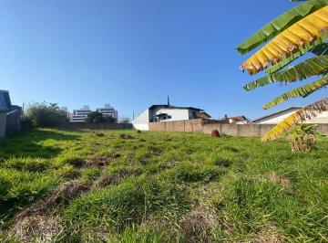 Terreno · 1200m² · Terreno Para Venda Em Conjunto Residencial Souza Santos de 1200.00 m²