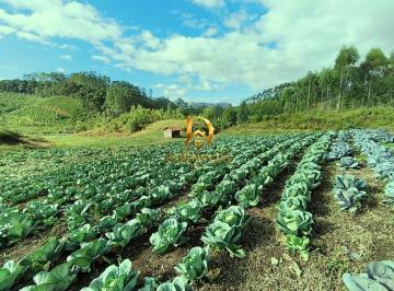 ro4nx682ytfjmtvindy0ntgw_md · Área Rural de 4,2 Hectares Com Escritura, Luz, Água, Internet E Ótimo Acesso