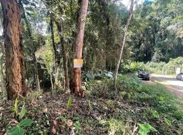 Terreno · 391m² · Terreno Com Boa Topografia Medindo 391 m² Na Ponte Da Saudade