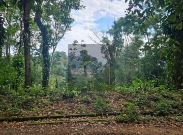 Foto 09 · Terreno À Venda Em Ubatuba - Sp, Bairro Tenorio, 666 m² de Área