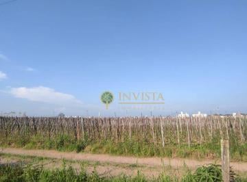 Terreno · 4252m² · Terreno Em Praia de Fora, Palhoça/sc de 0 m² À Venda por R$1.600.000