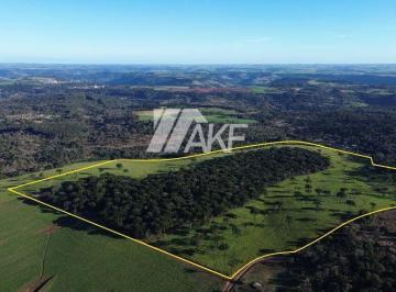 Rural · 68ha · Area Dupla Aptidao - Plantio E Pecuariano Bormann Em, Chapeco - Sc