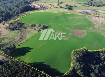 Rural · 33ha · Area de Plantio/lavoura No Bormann Em Chapeco - Sc