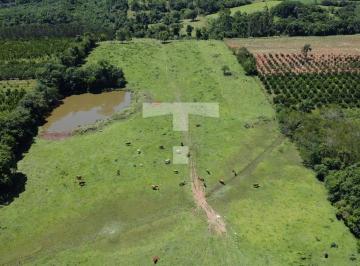 dji_0493-17315945410038.jpg · Imoveis - Em São José Do Hortêncio