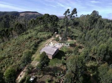 aadd5e07aed473f938cb53a79d44a2ff.jpg · Chácara Com 2 Quartos À Venda, 48400 m² por R$650.000 - Cerro Negro - Campo Magro/pr