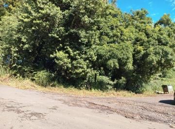 Terreno · 1537m² · Terreno Em Chácaras Santo Antonio Do Jardim, Jaguariúna/sp de 0 m² À Venda por R$300.000