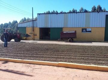 Rural · 100m² · Fazenda Em Vila Pinto, Varginha/mg de 100 m² À Venda por R$