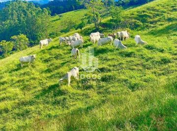 Rural · 5 Vagas · Fazenda Porteira Fechada Com 257 Hectares Em Santos Dumont - Mg - 03