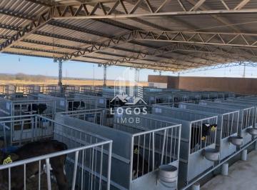 Rural · 220m² · 3 Quartos · 5 Vagas · Fazenda Leiteira Com 1.200 Hectares - João Pinheiro - Mg. - 01