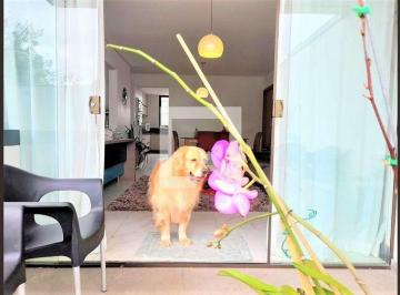 Apartamento · 323m² · 4 Quartos · 3 Vagas · Apartamento À Venda - Ouro Preto, 4 Quartos, 323 m² - Belo Horizonte