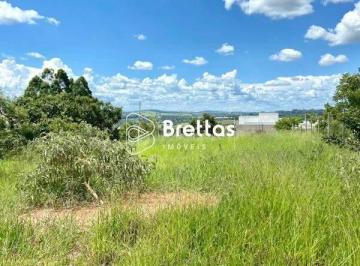 whatsapp-image-2023-01-18-at-161555.jpeg · Imoveis - Alta Villa Lavras