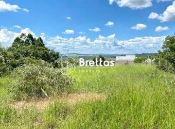 whatsapp-image-2023-01-18-at-161555.jpeg · Imoveis - Alta Villa Lavras