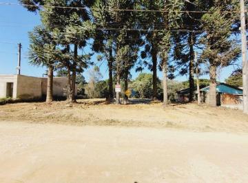 44ckCIr2dFn796bJjaY07sy7zfvIE9MY.jpg · Terreno À Venda, 701 m² por R$199.000 - Parque Do Embu - Colombo/pr