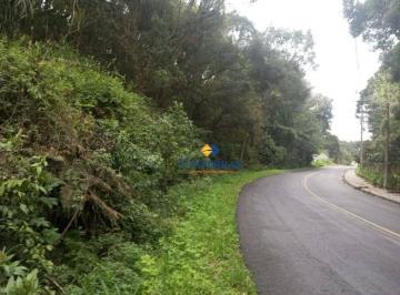 9321a8f39a528ef62977bc96e3e2cad9.jpg · Terreno À Venda, 26589 m² por R$1.600.000 - Ferraria - Campo Largo/pr