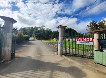 4d85e874280815a78a738aa0d7a25187.jpg · Terreno À Venda, 240 m² por R$242.296 - São Dimas - Colombo/pr