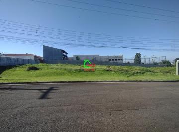 Terreno · 1129m² · Terreno Para Venda Em Observatório de 1129.00 m²
