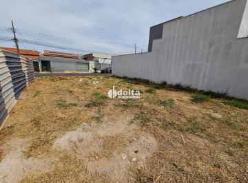 Terreno · 300m² · Terreno Disponível Para Venda No Bairro Shopping Park Em Uberlândia - Mg