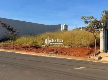 Terreno · 250m² · Terreno Disponível Para Venda No Bairro Portal Do Vale II Em Uberlândia Mg
