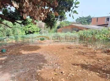 Terreno · 250m² · Terreno Para Venda Em Sumaré, Jardim Amélia