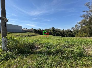 Terreno · 10000m² · Lote / Terreno Para Venda Em Observatório de 10000.00 m²