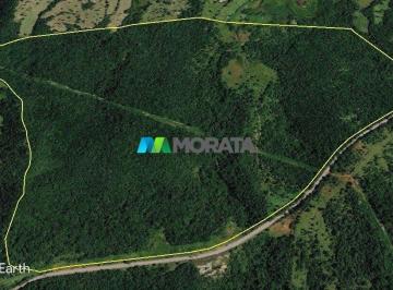 10220_i19146dO7846V4ax18hzS_102206a395b783db46.jpg · Imoveis - Na Zona Rural