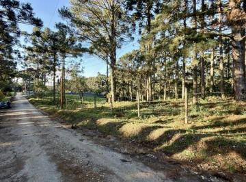 Rural · 29216m² · Chácara Para Venda Em Colombo, Roseira