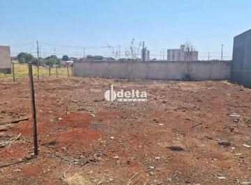 Terreno · 250m² · Terreno Disponível Para Venda No Bairro Loteamento Portal Do Vale II Em Uberlândia - Mg