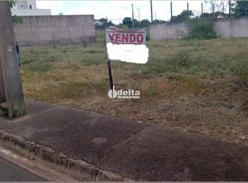 Terreno · 250m² · Terreno Disponível Para Venda No Bairro Loteamento Portal Do Vale II Em Uberlândia - Mg