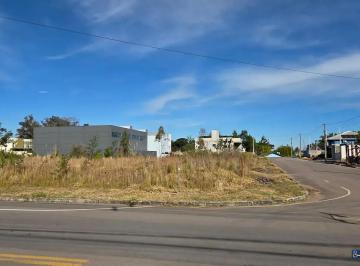Terreno · 10m² · Terreno Loteamento Terra Nobre, São Virgílio, Caxias Do Sul, Rs