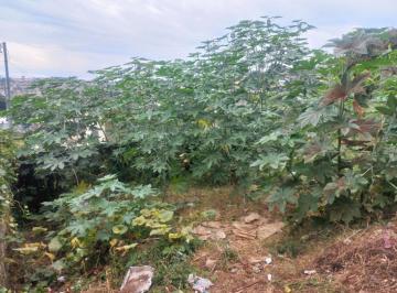 lote-terreno-em-santa-luzia-mg-no-bairro-sao-benedito-imovel432825-img6a2c62722f8fd.jpg · Imoveis - Em São Benedito