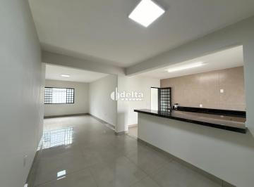 Casa · 300m² · 3 Quartos · 2 Vagas · Casa Com 3 Quartos Sendo 2 Suíte Disponível Para Venda No Bairro Vigilato Pereira Em Uberlândia - Mg