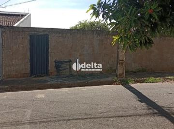 Terreno · 265m² · Terreno Disponível Para Venda No Bairro Chácaras Tubalina E Quartel Em Uberlândia - Mg